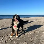 Letniskowe Rafa